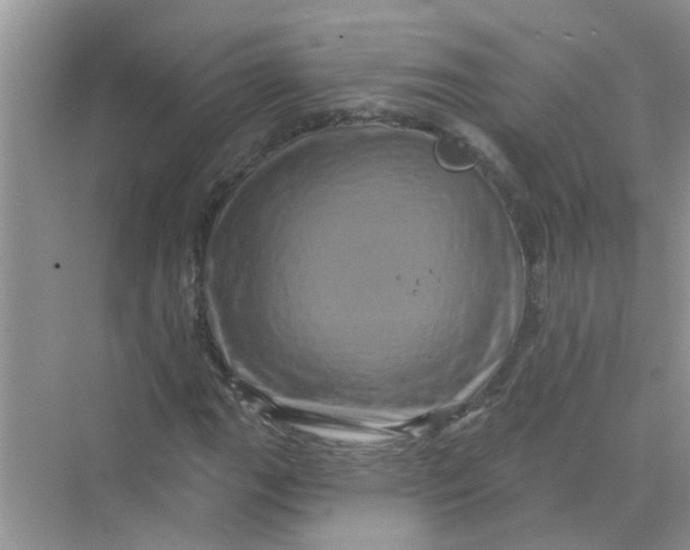 X0000069791111200606091736