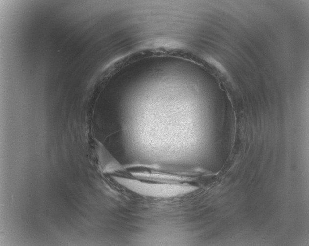 X0000069791112200606091736