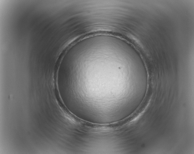 X0000069791113200606091736