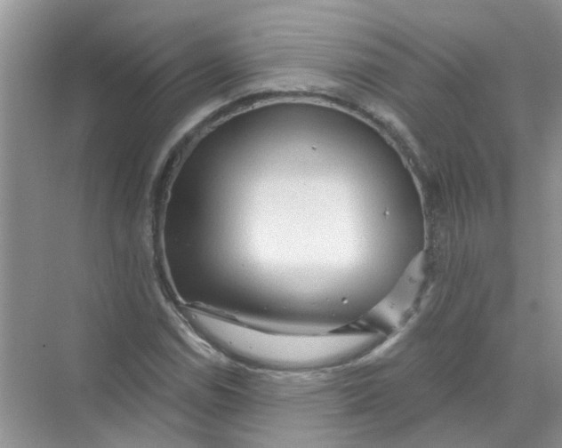 X0000069791114200606091736