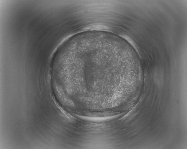 X0000069791115200606091736