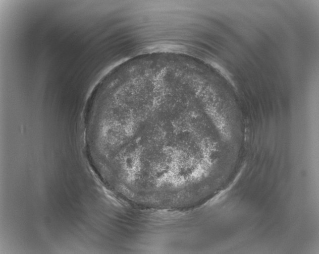 X0000069791117200606091736