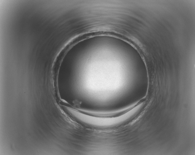 X0000069791118200606091736