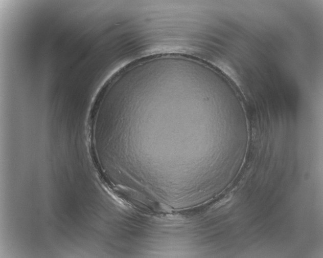 X0000069791119200606091736