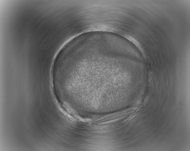 X0000069791120200606091736