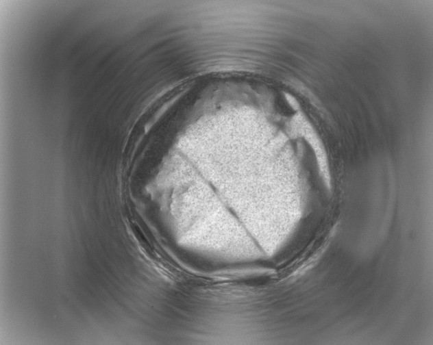 X0000069791121200606091736