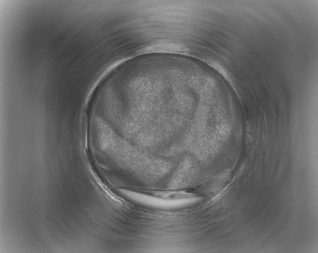 X0000069791123200606091736