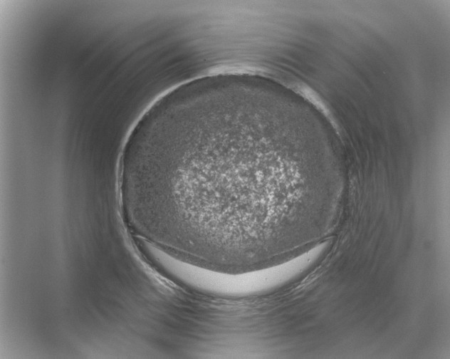 X0000069791124200606091736