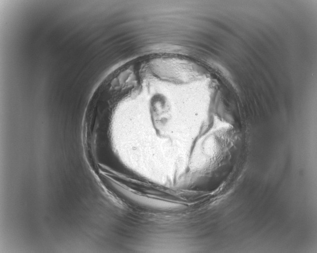 X0000069791125200606091736