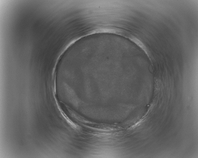 X0000069791127200606091736