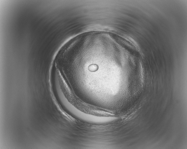 X0000069791128200606091736