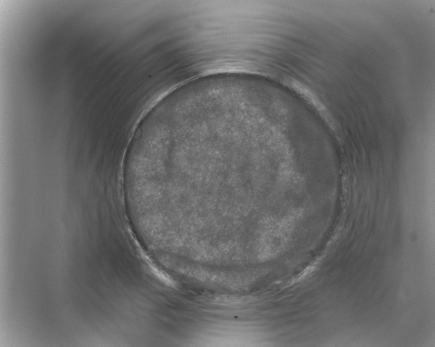 X0000069791129200606091736