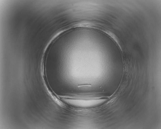 X0000069791131200606091736