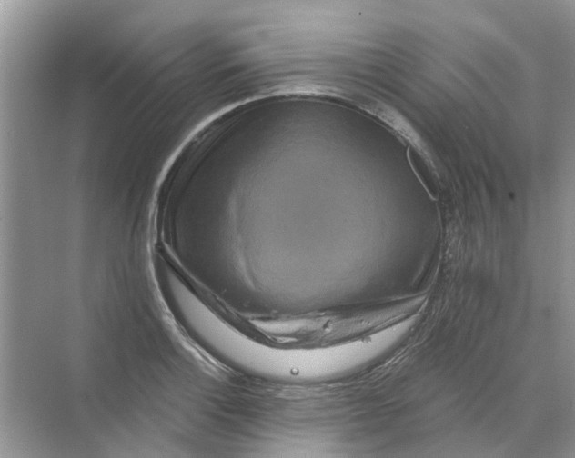 X0000069791132200606091736