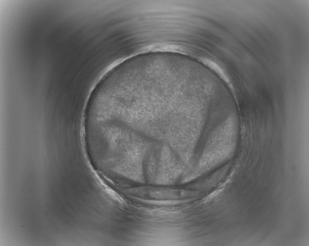 X0000069791133200606091736