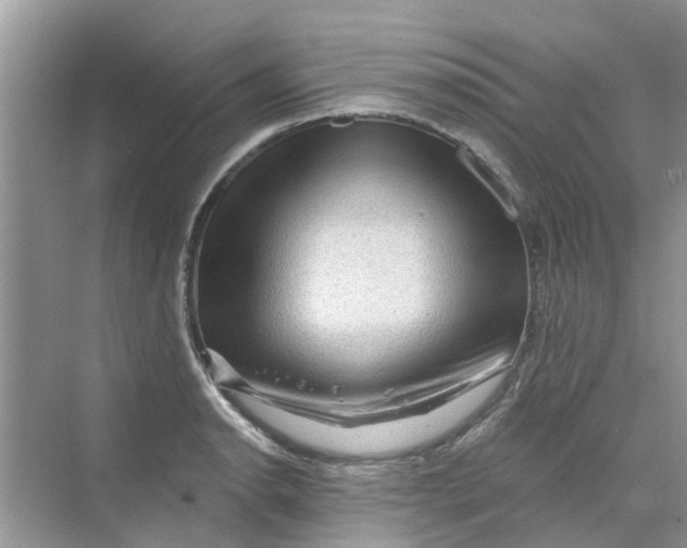 X0000069791134200606091736