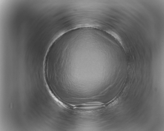 X0000069791135200606091736