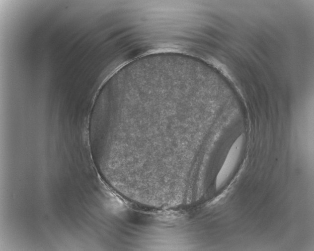 X0000069791137200606091736