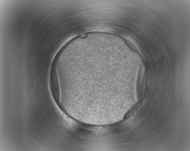 X0000069791139200606091736