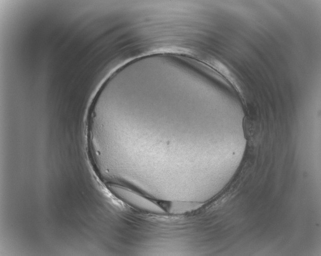 X0000069791140200606091736