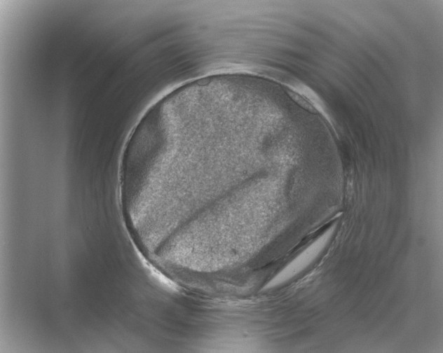 X0000069791143200606091736