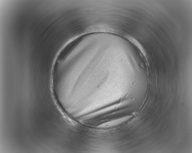 X0000069791144200606091736