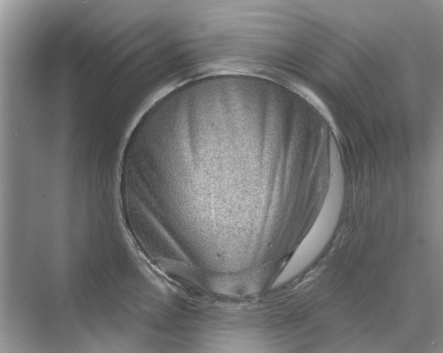 X0000069791146200606091736