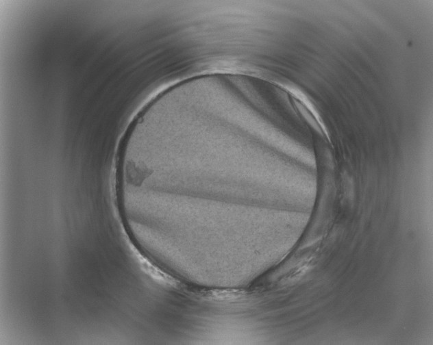 X0000069791147200606091736