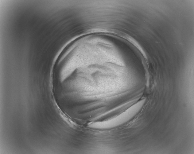 X0000069791148200606091736