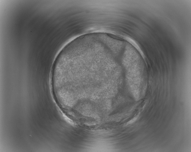 X0000069791149200606091736