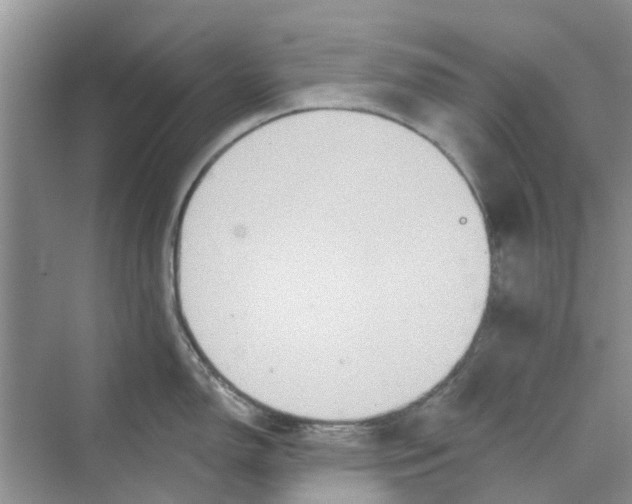 X0000069791150200606091736