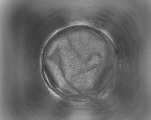 X0000069791151200606091736