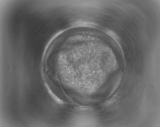 X0000069791152200606091736