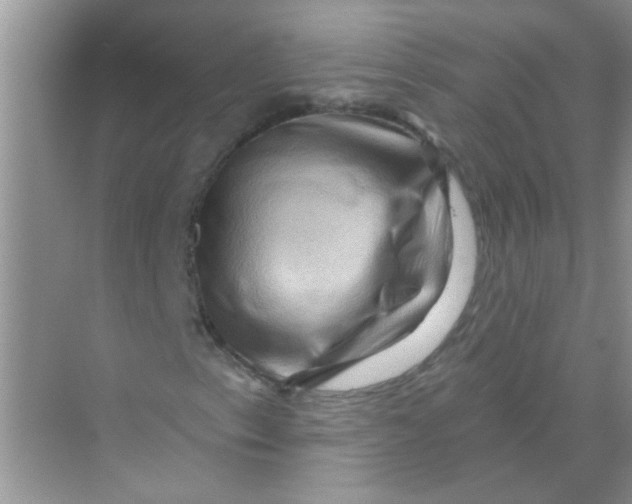 X0000069791153200606091735