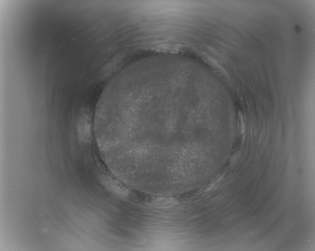 X0000069791154200606091735