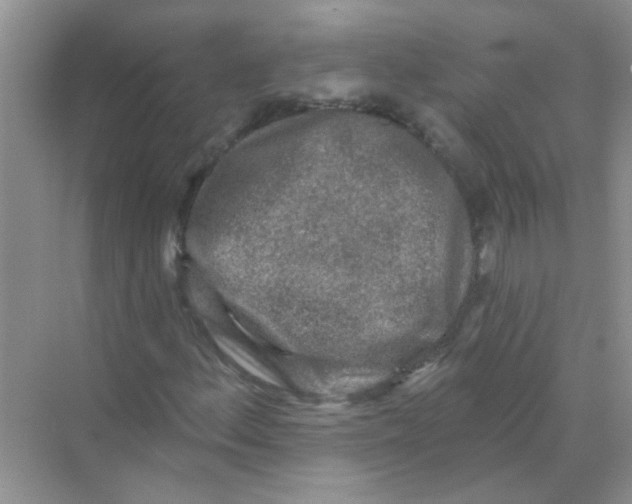 X0000069791156200606091735