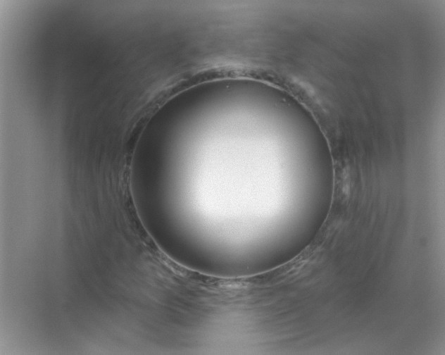 X0000069791157200606091735