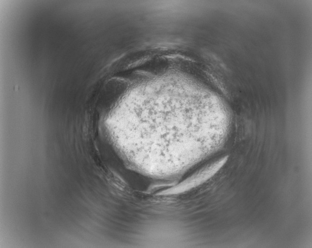 X0000069791158200606091735