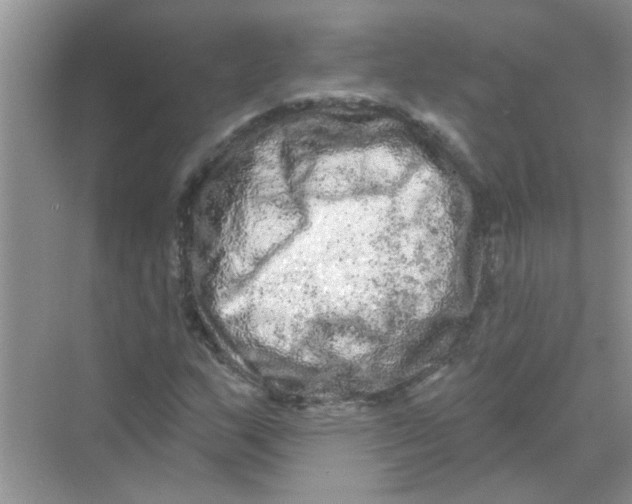 X0000069791159200606091735