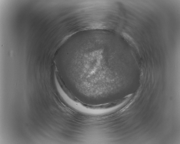 X0000069791161200606091735