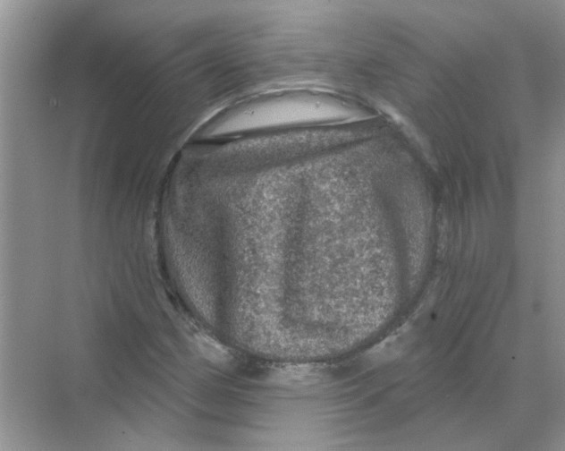 X0000069791162200606091735