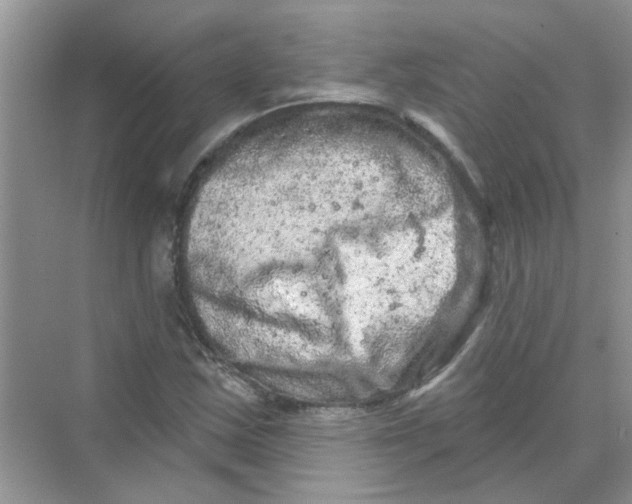 X0000069791163200606091735