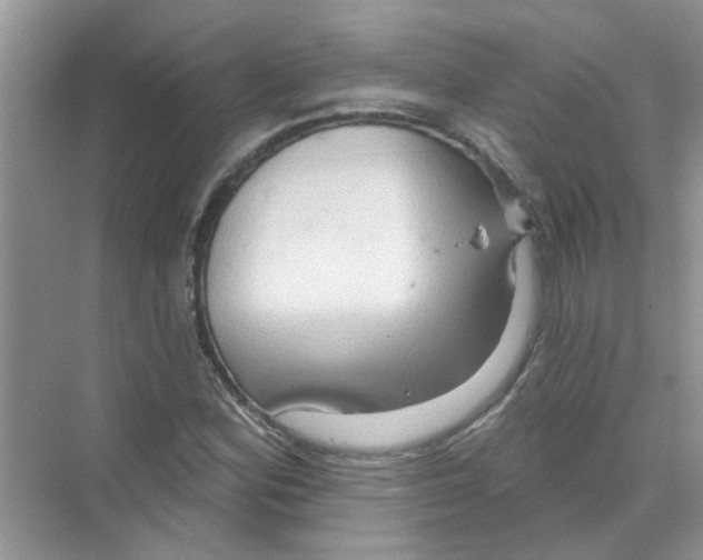 X0000069791164200606091735