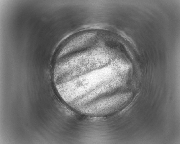 X0000069791166200606091735