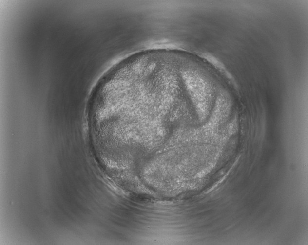 X0000069791167200606091735