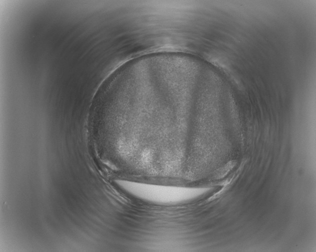 X0000069791170200606091735