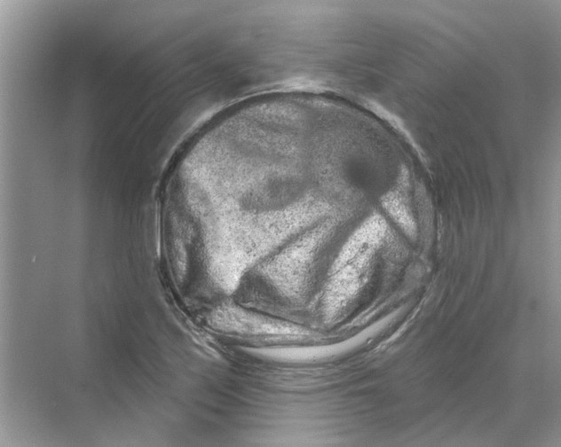 X0000069791171200606091735