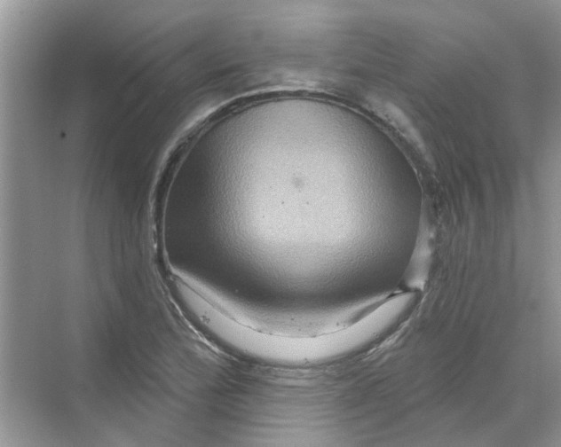 X0000069791172200606091735