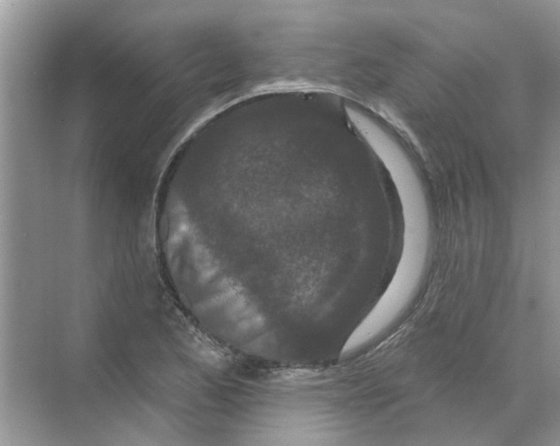 X0000069791173200606091735