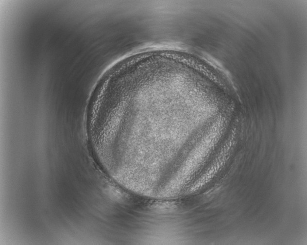 X0000069791174200606091735